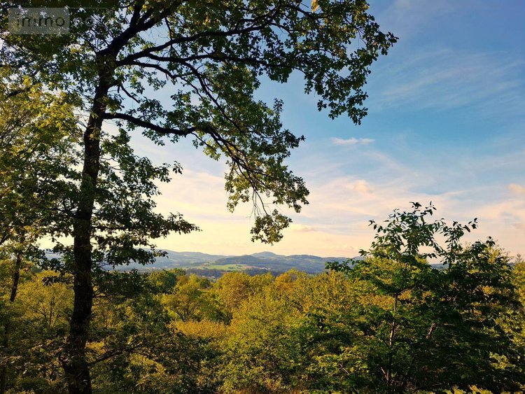 Maison a vendre Sugères 63490 Puy-de-Dôme 154 m2 12 pièces 294000 euros