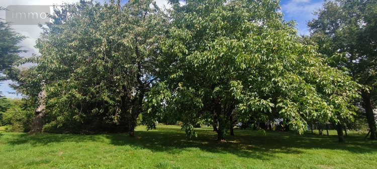 Maison a vendre Allaire 56350 Morbihan 60 m2 2 pièces 168640 euros