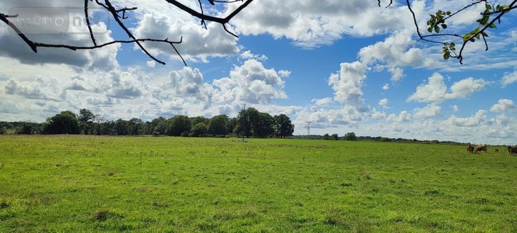 Maison a vendre Allaire 56350 Morbihan 60 m2 2 pièces 168640 euros