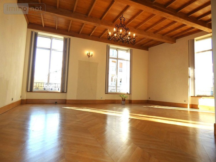 Immeuble a vendre Vichy 03200 Allier 377 m2  1680000 euros