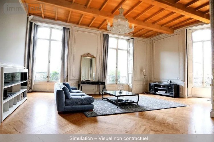 Immeuble a vendre Vichy 03200 Allier 377 m2  1680000 euros