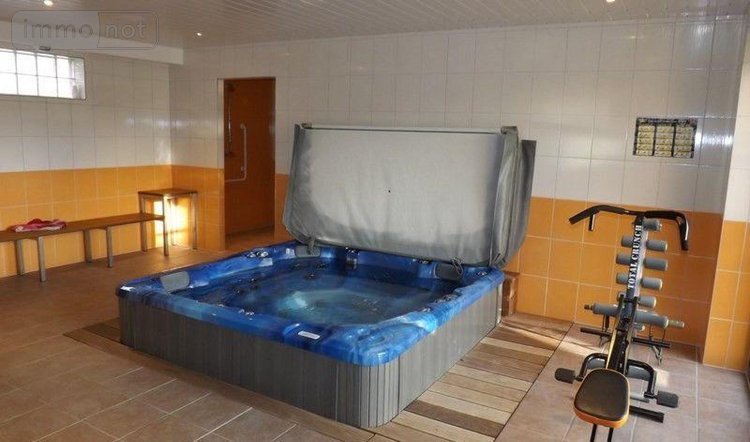 propriete a vendre Neussargues en Pinatelle 15170 Cantal 400 m2 20 pièces 999000 euros