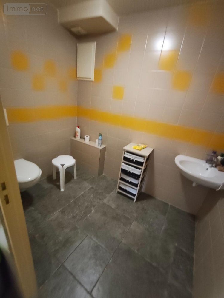 propriete a vendre Neussargues en Pinatelle 15170 Cantal 546 m2 16 pièces 999000 euros