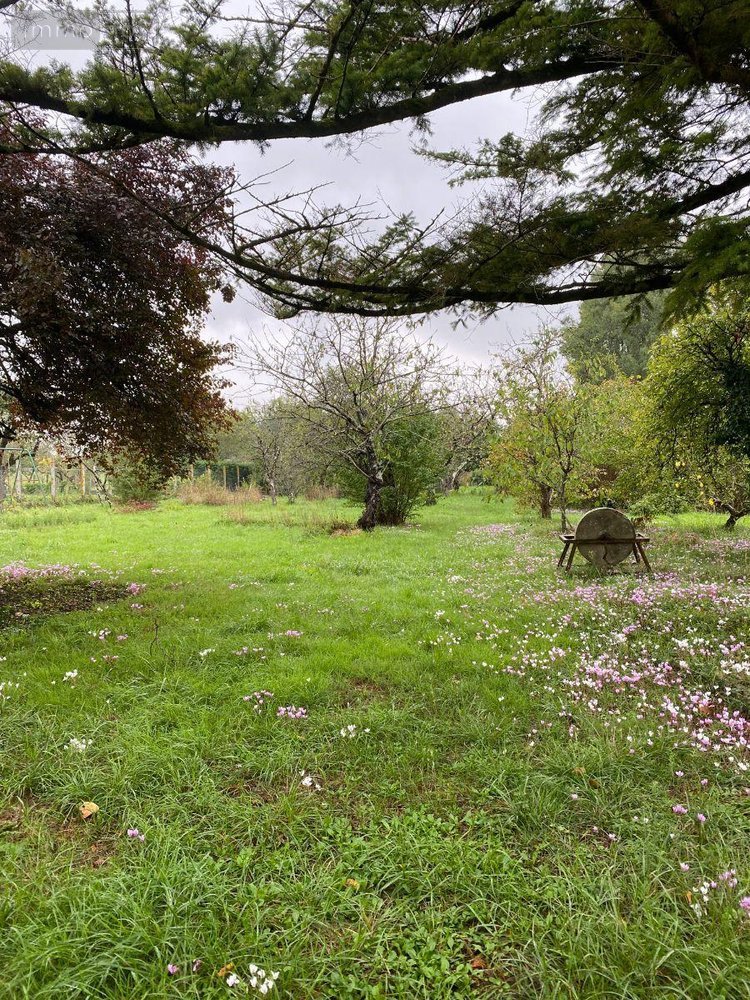 Maison a vendre Châtillon-sur-Indre 36700 Indre 67 m2 4 pièces 64800 euros