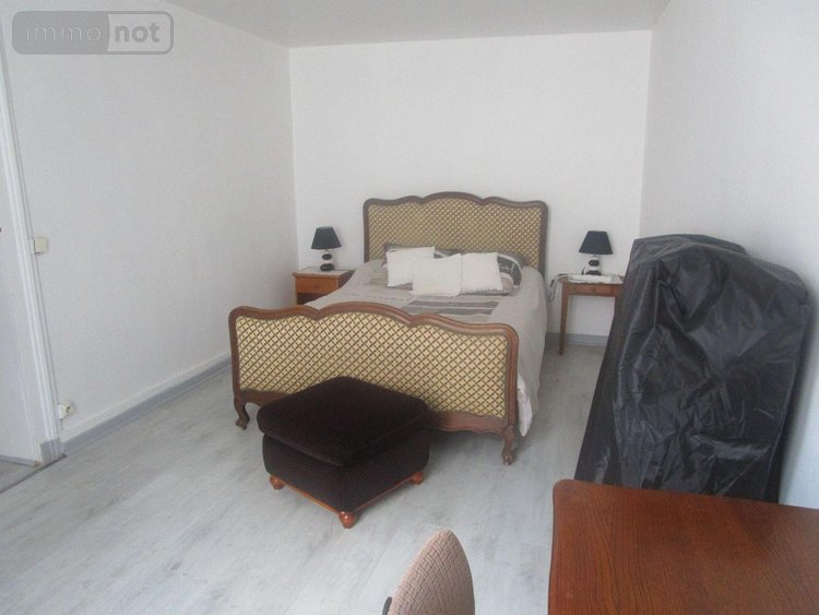 Immeuble a vendre Le Blanc 36300 Indre 265 m2  160000 euros