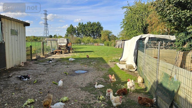 Bien agricole a vendre Marolles 51300 Marne  260000 euros