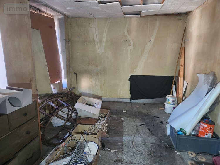 Immeuble a vendre Bar-sur-Aube 10200 Aube 173 m2  50000 euros