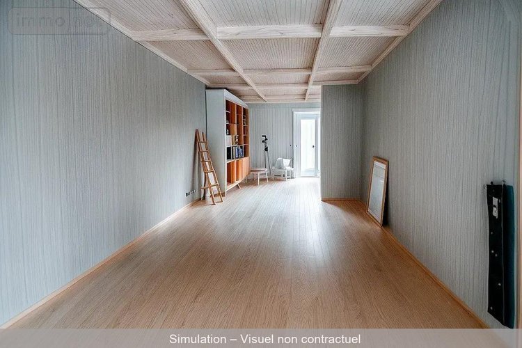 Immeuble a vendre Bar-sur-Aube 10200 Aube 173 m2  50000 euros