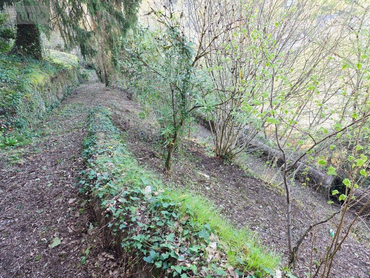 Maison a vendre Tulle 19000 Corrèze 250 m2 9 pièces 147560 euros