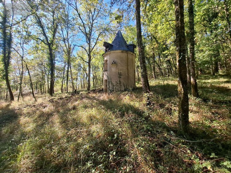Maison a vendre Le Buisson-de-Cadouin 24480 Dordogne 170 m2 6 pièces 417500 euros