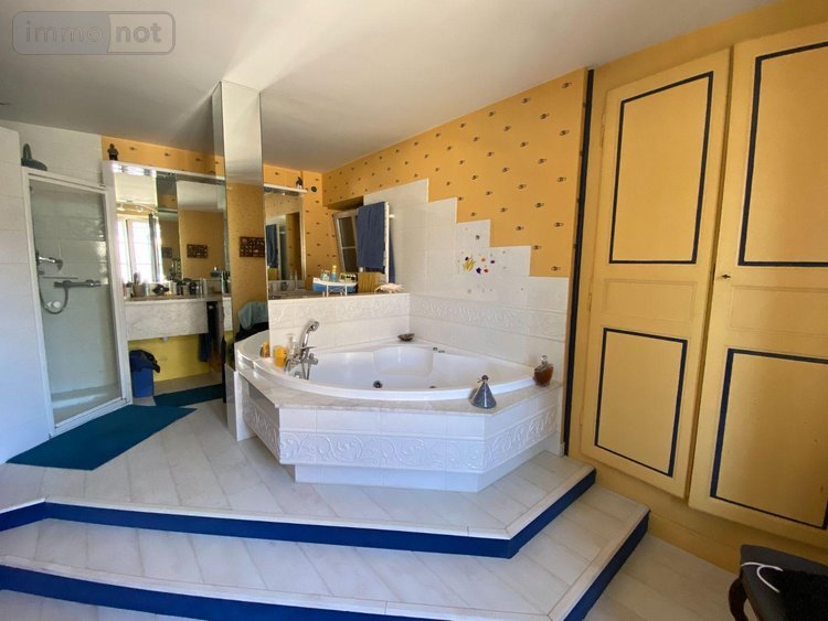 Maison a vendre Buzançais 36500 Indre 231 m2 6 pièces 207900 euros