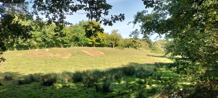 Maison a vendre Lezay 79120 Deux-Sèvres 327 m2 6 pièces 470000 euros