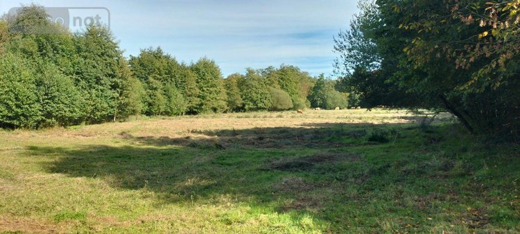 Maison a vendre Lezay 79120 Deux-Sèvres 327 m2 6 pièces 470000 euros