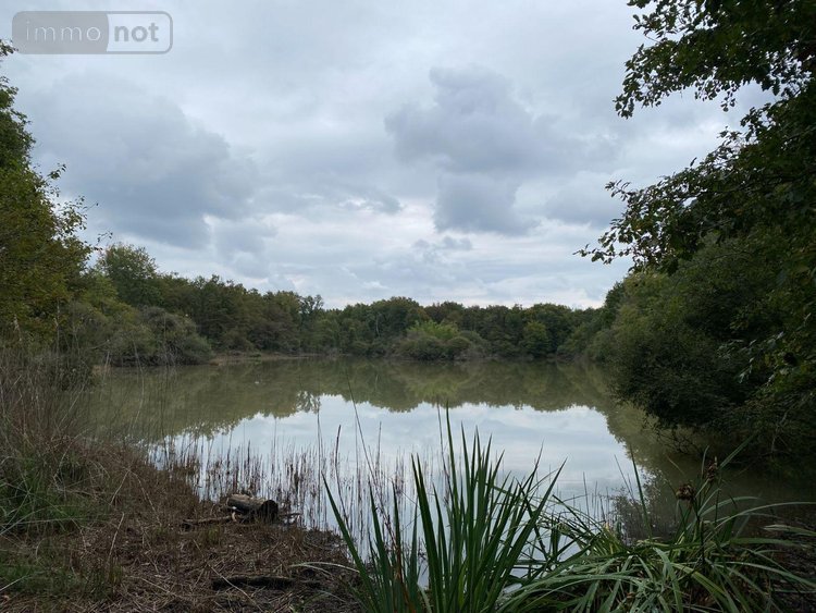 Terrains de loisirs bois etangs a vendre Mézières-en-Brenne 36290 Indre 91906 m2  128400 euros
