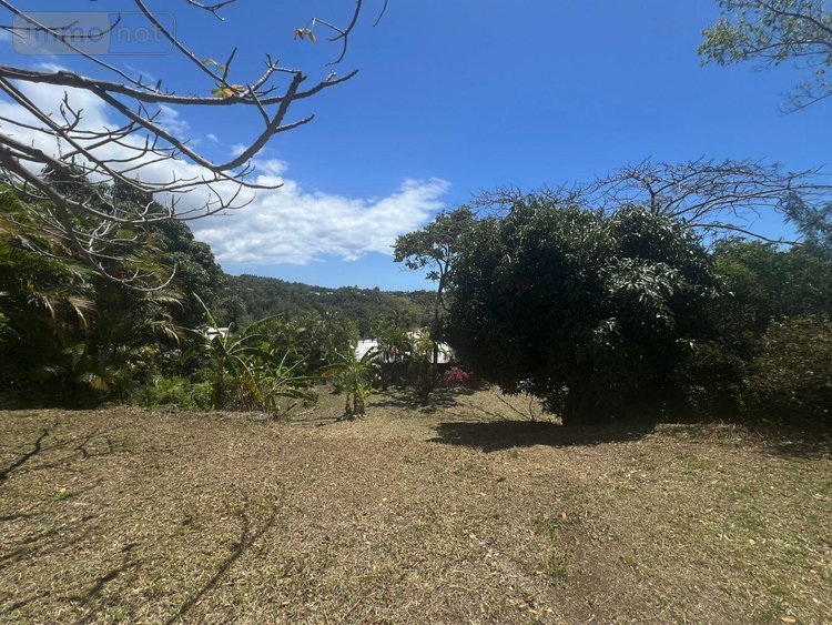 Terrain a batir a vendre La-Montagne 97417 Réunion 516 m2  149800 euros