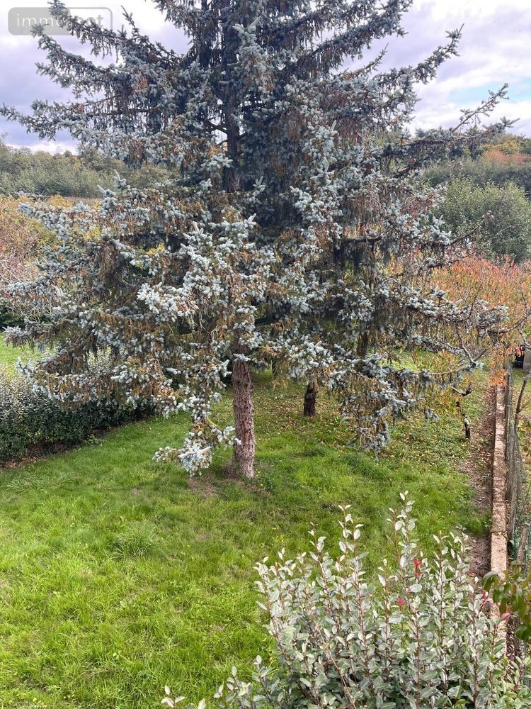 Maison a vendre Courdemanche 72150 Sarthe 73 m2 6 pièces 98440 euros