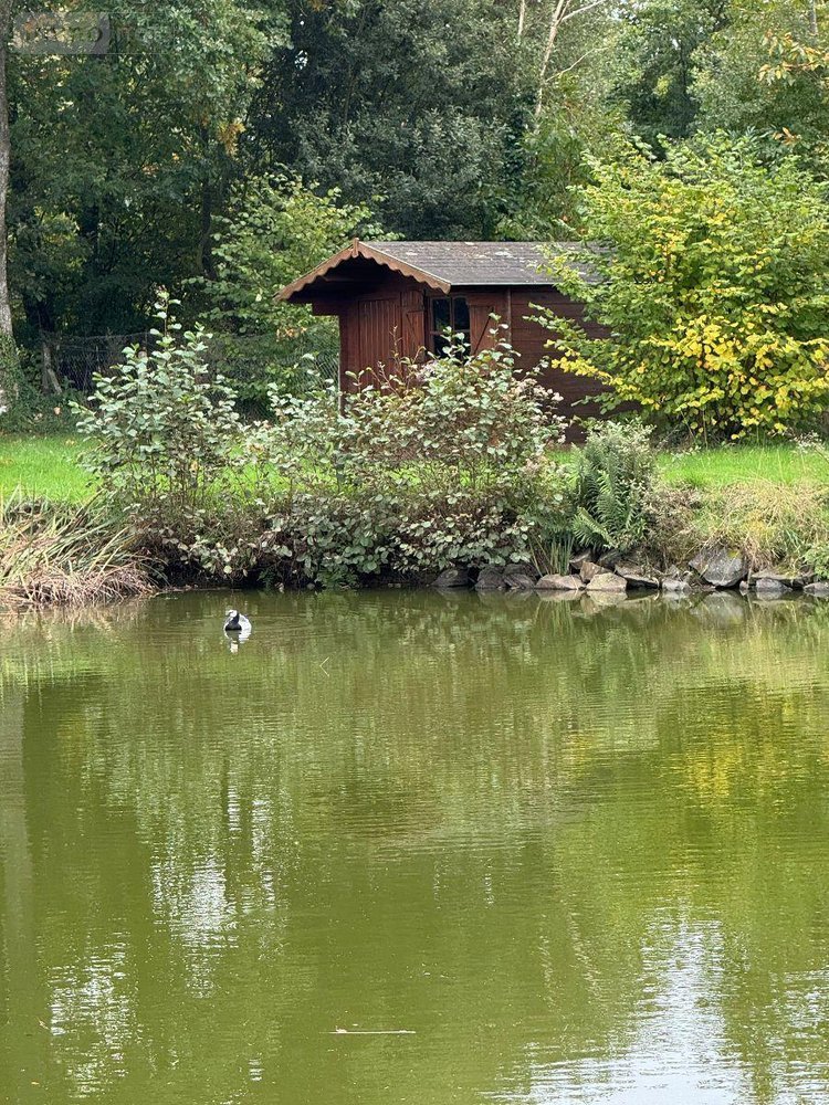 Terrains de loisirs bois etangs a vendre Sougeal 35610 Ille-et-Vilaine 1948 m2  31436 euros