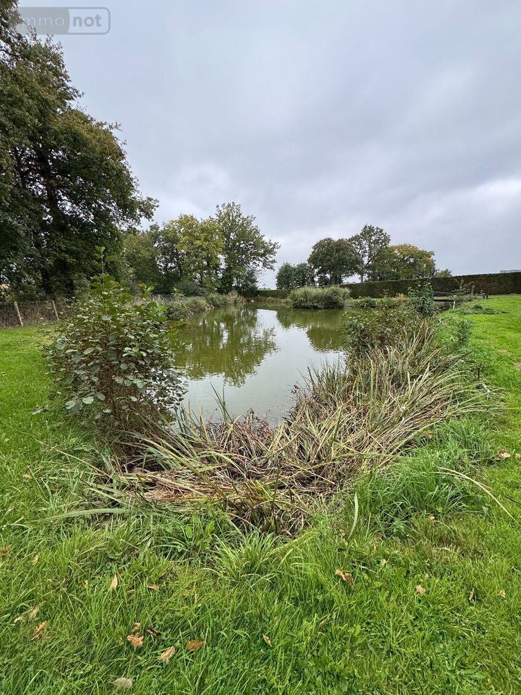 Terrains de loisirs bois etangs a vendre Sougeal 35610 Ille-et-Vilaine 1948 m2  31436 euros