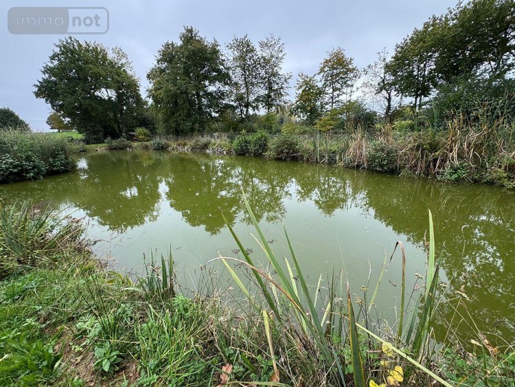 Terrains de loisirs bois etangs a vendre Sougeal 35610 Ille-et-Vilaine 1948 m2  31436 euros