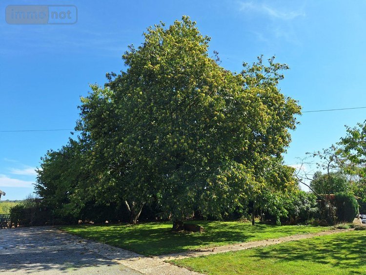 Maison a vendre Saint-Denis-de-Gastines 53500 Mayenne 53 m2 3 pièces 94500 euros