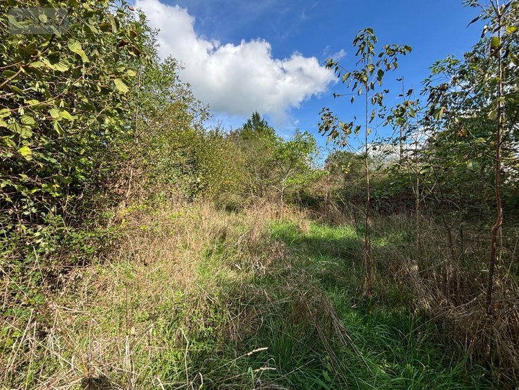 Maison a vendre Lacapelle-Marival 46120 Lot 227 m2 7 pièces 198700 euros