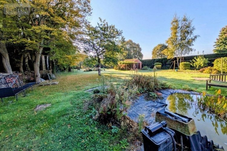 Maison a vendre Morbecque 59190 Nord 132 m2 8 pièces 322000 euros