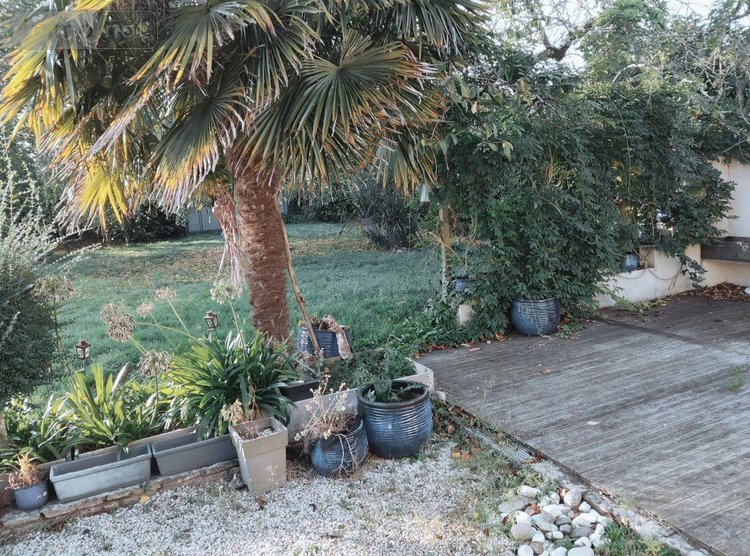 Location maison Saint-Erblon 35230 Ille-et-Vilaine 123 m2 5 pièces 1100 euros