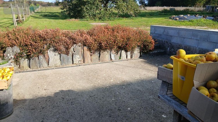 Location maison Bains-sur-Oust 35600 Ille-et-Vilaine 61 m2 2 pièces 730 euros