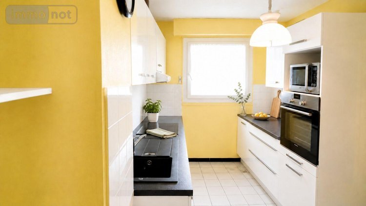 Appartement a vendre Lyon 7e Arrondissement 69007 Rhône 77 m2 4 pièces 299000 euros