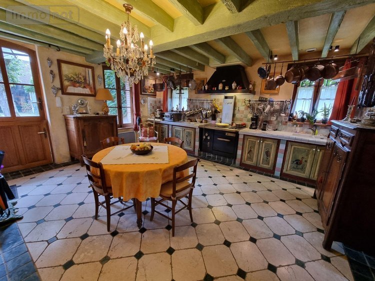 propriete a vendre Gy-en-Sologne 41230 Loir-et-Cher 350 m2 10 pièces 768000 euros