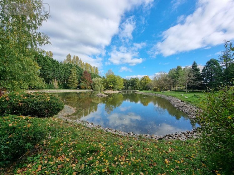 propriete a vendre Gy-en-Sologne 41230 Loir-et-Cher 350 m2 10 pièces 768000 euros