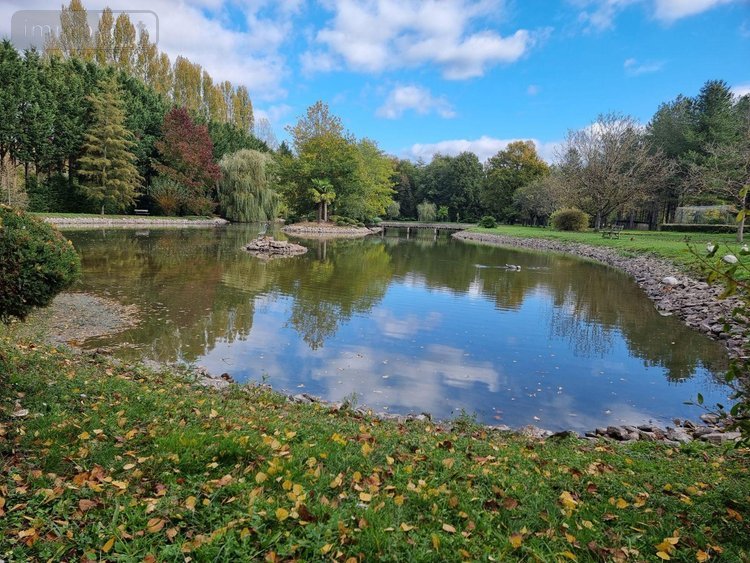 propriete a vendre Gy-en-Sologne 41230 Loir-et-Cher 350 m2 10 pièces 768000 euros