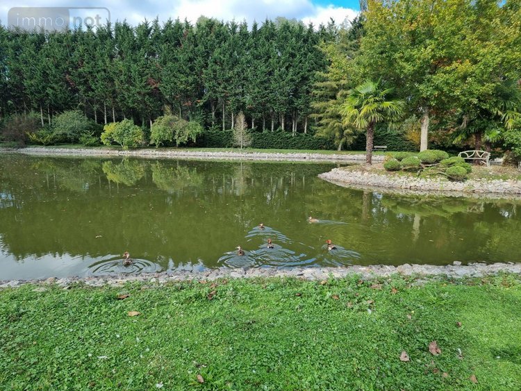 propriete a vendre Gy-en-Sologne 41230 Loir-et-Cher 350 m2 10 pièces 768000 euros