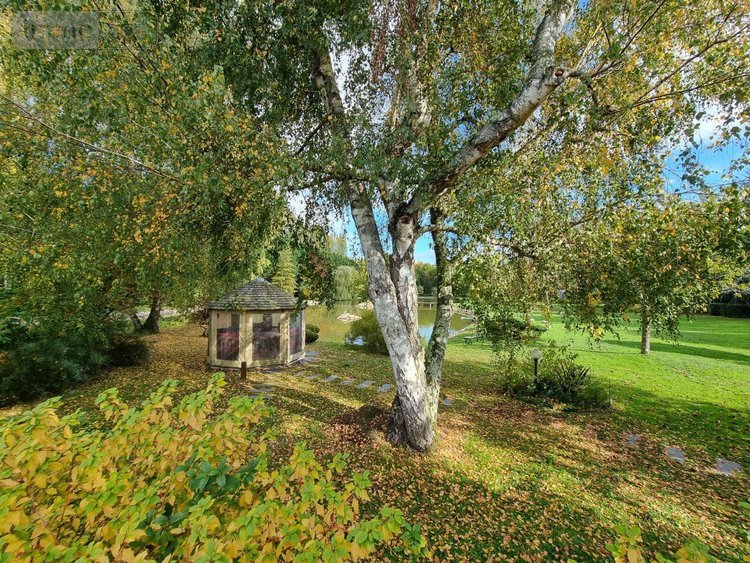 propriete a vendre Gy-en-Sologne 41230 Loir-et-Cher 350 m2 10 pièces 768000 euros