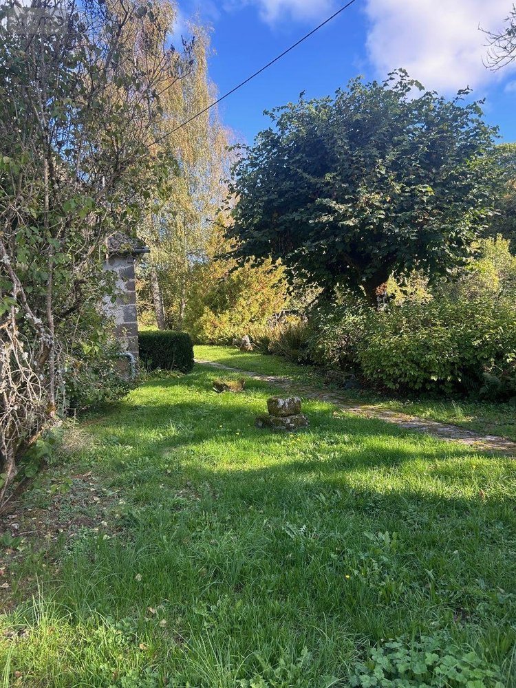 Maison a vendre Drugeac 15140 Cantal  243800 euros