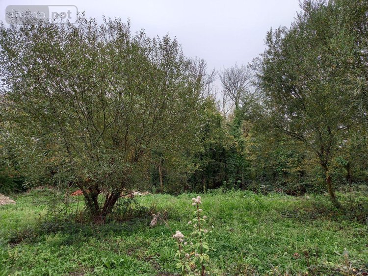 Maison a vendre Crozon 29160 Finistère 85 m2 4 pièces 148400 euros