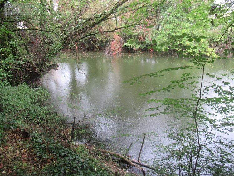 Terrains de loisirs bois etangs a vendre Troyes 10000 Aube 604 m2  47970 euros