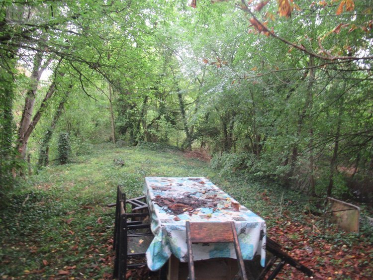Terrains de loisirs bois etangs a vendre Troyes 10000 Aube 5847 m2  37310 euros