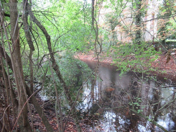 Terrains de loisirs bois etangs a vendre Troyes 10000 Aube 604 m2  47970 euros