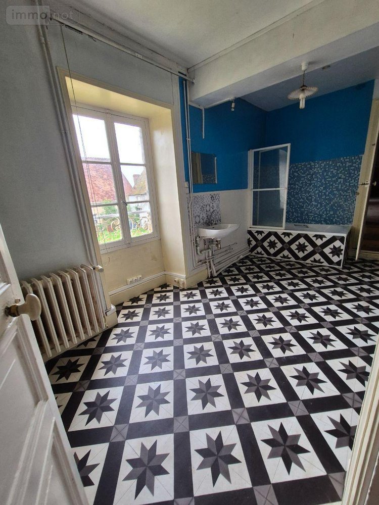 Maison a vendre Cluis 36340 Indre 247 m2 12 pièces 239000 euros