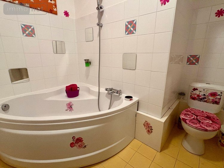 Appartement a vendre Salbris 41300 Loir-et-Cher 233 m2 9 pièces 347820 euros