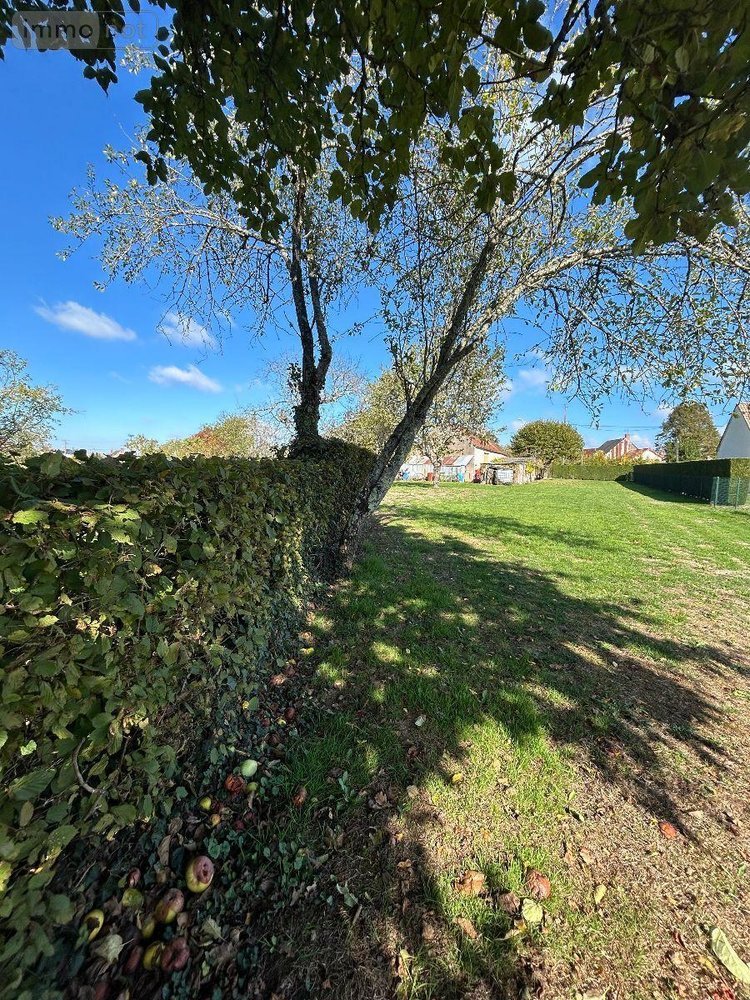 Maison a vendre Pouligny-Notre-Dame 36160 Indre 77 m2 4 pièces 79500 euros