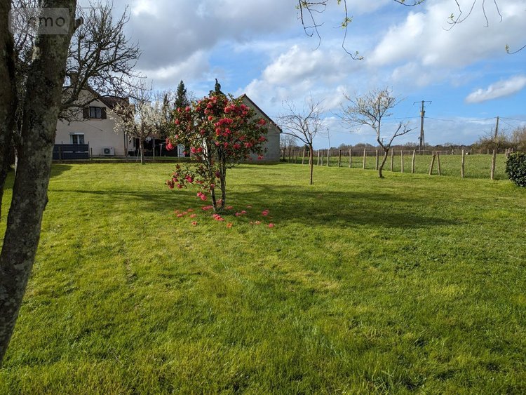 Terrains de loisirs bois etangs a vendre Changé 72560 Sarthe 2100 m2  21630 euros