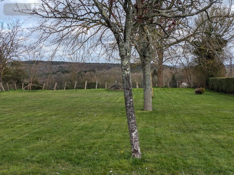 Terrains de loisirs bois etangs a vendre Changé 72560 Sarthe 2100 m2  21630 euros