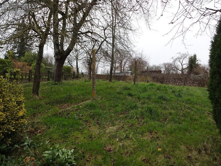 Maison a vendre Le Loroux 35133 Ille-et-Vilaine 50 m2 3 pièces 83770 euros