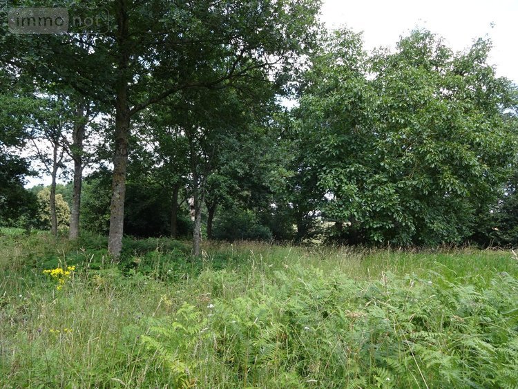 Maison a vendre Romazy 35490 Ille-et-Vilaine 134 m2 5 pièces 212500 euros