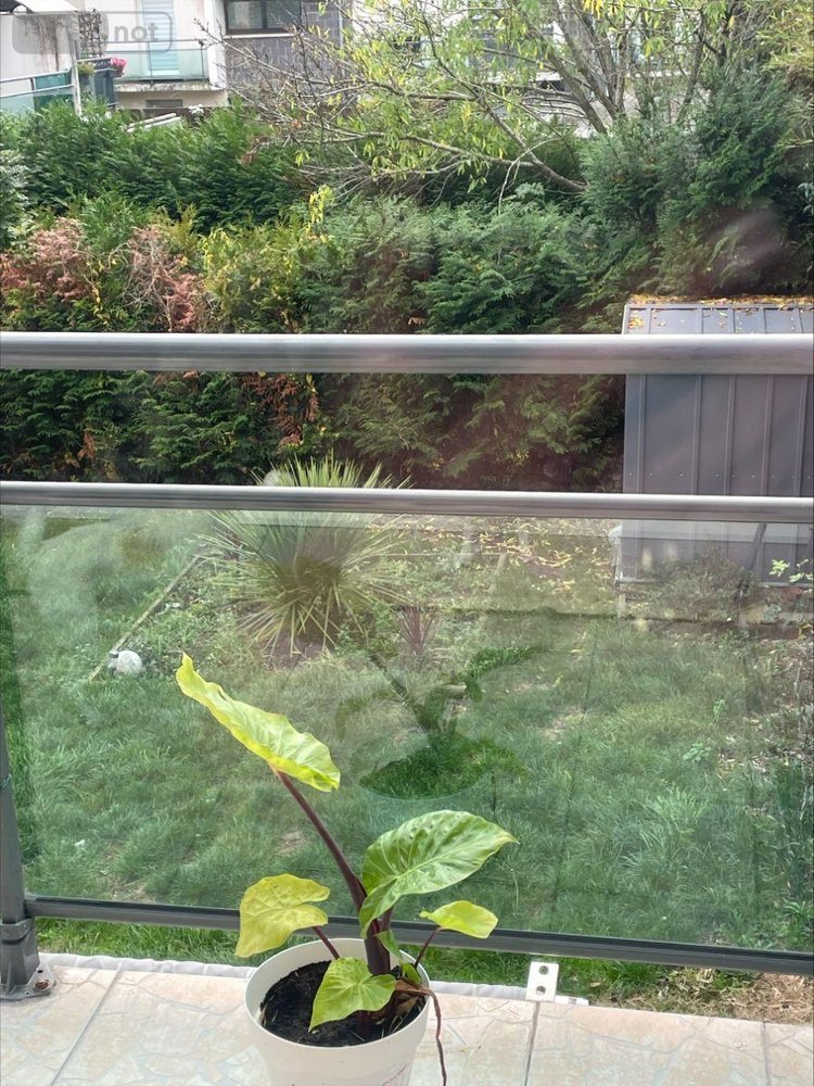 Maison a vendre Tourcoing 59200 Nord 101 m2 4 pièces 220022 euros