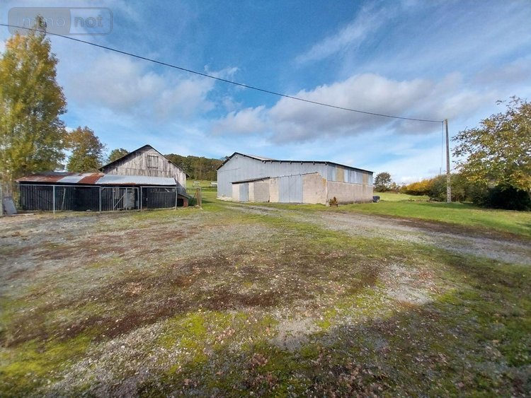 Maison a vendre Taillis 35500 Ille-et-Vilaine 115 m2 5 pièces 270400 euros