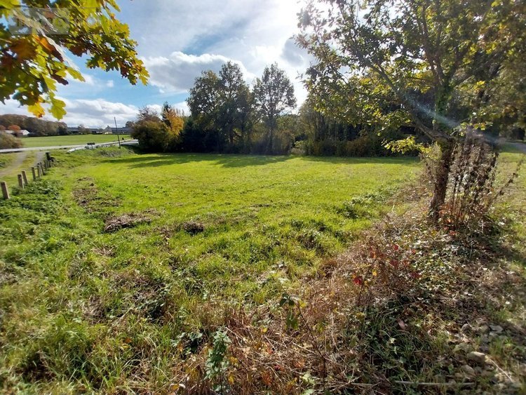 Maison a vendre Taillis 35500 Ille-et-Vilaine 115 m2 5 pièces 270400 euros