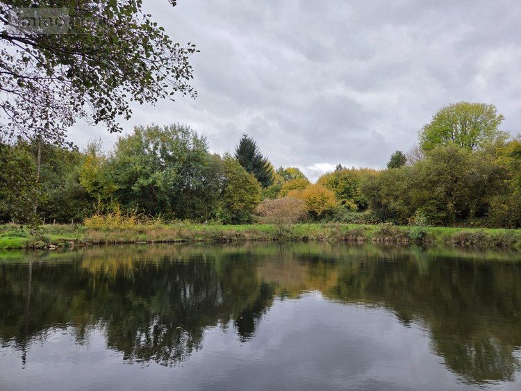 Terrains de loisirs bois etangs a vendre Vimartin sur Orthe 53160 Mayenne 6031 m2  26500 euros